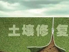 政策丨《土壤污染防治基金管理办法》发布